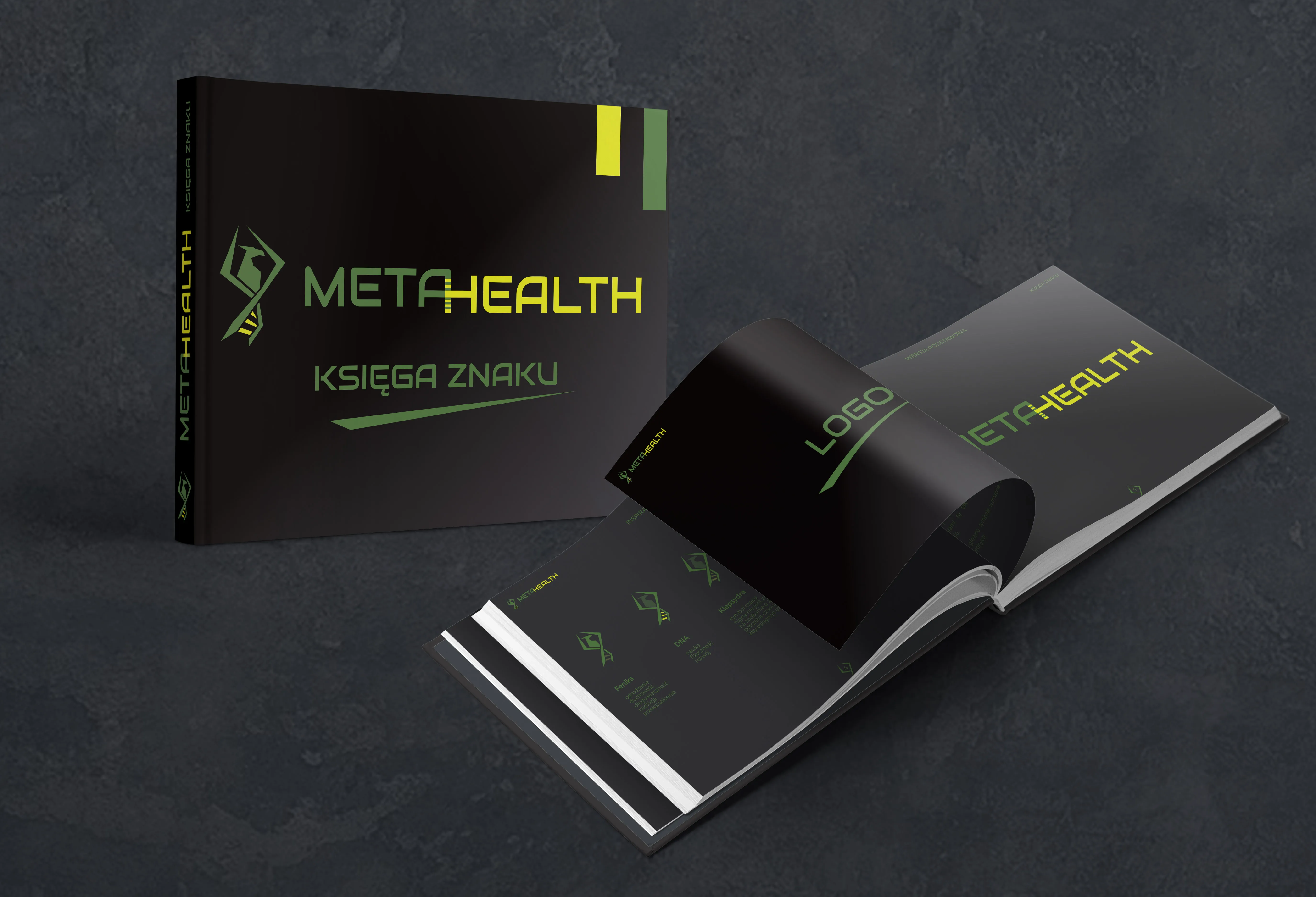MetaHealth brand book – the mark shown beside its written story